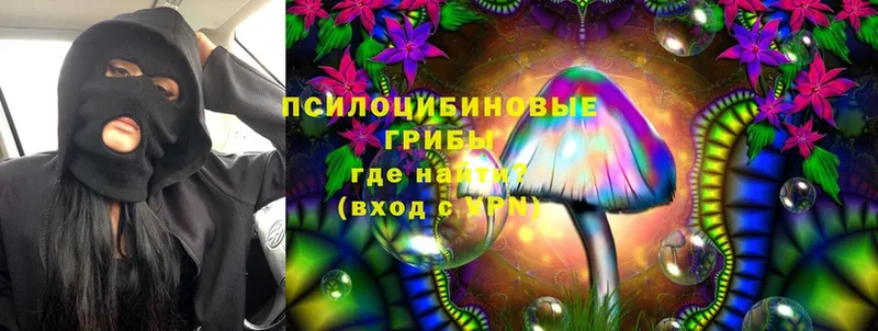 Галлюциногенные грибы Magic Shrooms  Тюмень 